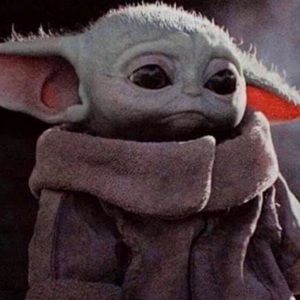 Meet your Posher, Brandi